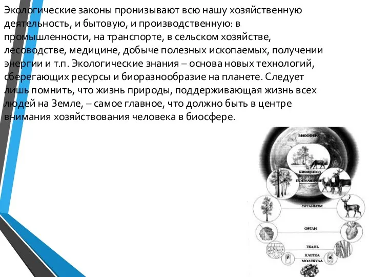 Экологические законы пронизывают всю нашу хозяйственную деятельность, и бытовую, и