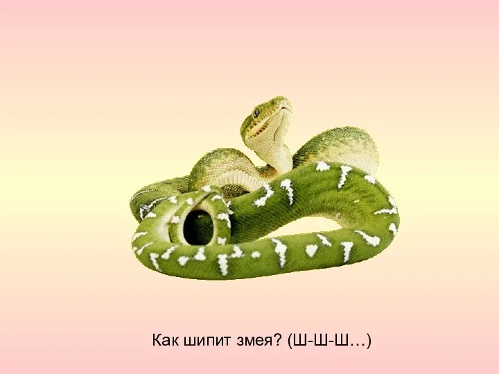 Как шипит змея? (Ш-Ш-Ш…)