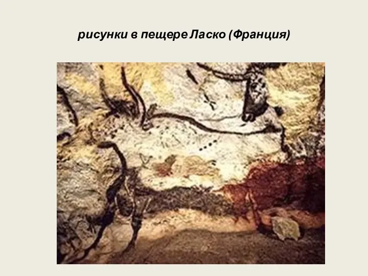 рисунки в пещере Ласко (Франция)