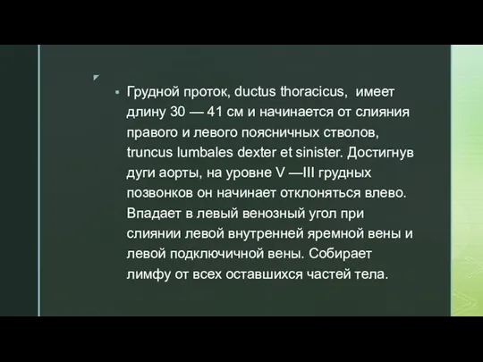 Грудной проток, ductus thoracicus, имеет длину 30 — 41 см