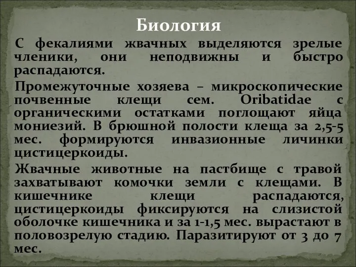 С фекалиями жвачных выделяются зрелые членики, они неподвижны и быстро