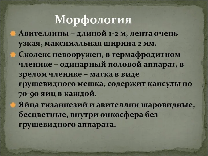 Авителлины – длиной 1-2 м, лента очень узкая, максимальная ширина 2 мм. Сколекс