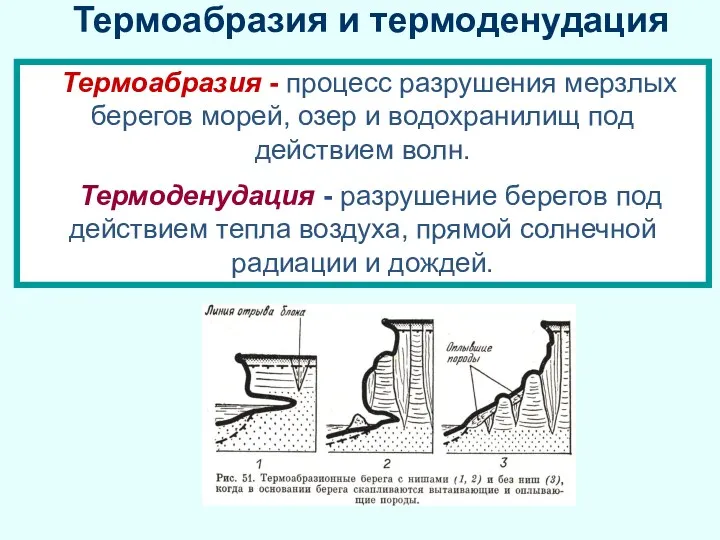 Термоабразия и термоденудация Термоабразия - процесс разрушения мерзлых берегов морей,