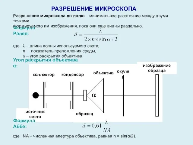 Угол раскрытия объектива α: РАЗРЕШЕНИЕ МИКРОСКОПА Формула Рэлея: Разрешение микроскопа