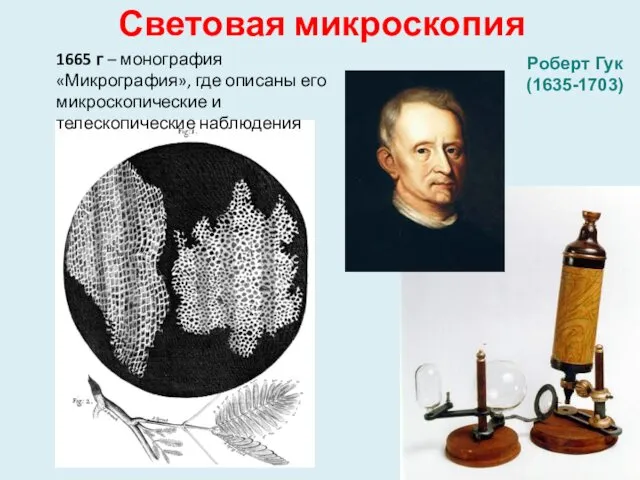 Световая микроскопия Роберт Гук (1635-1703) 1665 г – монография «Микрография»,