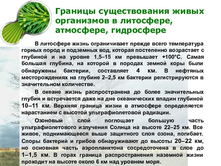 Границы существования живых организмов в литосфере, атмосфере, гидросфере В литосфере