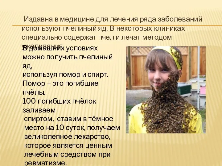 Издавна в медицине для лечения ряда заболеваний используют пчелиный яд.