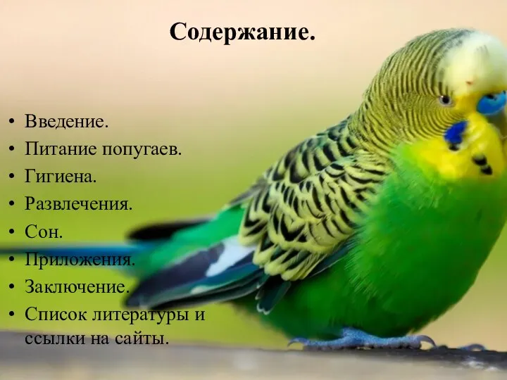 Содержание. Введение. Питание попугаев. Гигиена. Развлечения. Сон. Приложения. Заключение. Список литературы и ссылки на сайты.