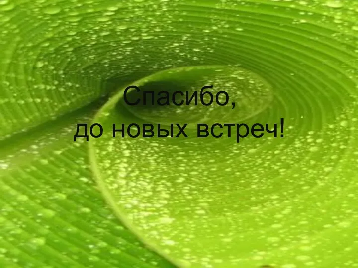 Спасибо, до новых встреч!