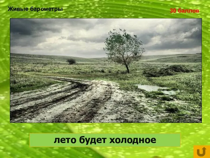 Живые барометры 30 баллов Птицы весной вьют гнёзда на солнечной стороне, лето будет… лето будет холодное