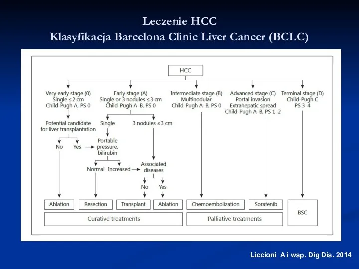 Liccioni A i wsp. Dig Dis. 2014 Leczenie HCC Klasyfikacja Barcelona Clinic Liver Cancer (BCLC)