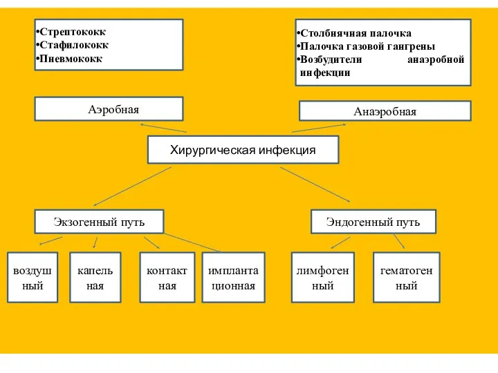 Стрептококк Стафилококк Пневмококк Столбнячная палочка Палочка газовой гангрены Возбудители анаэробной