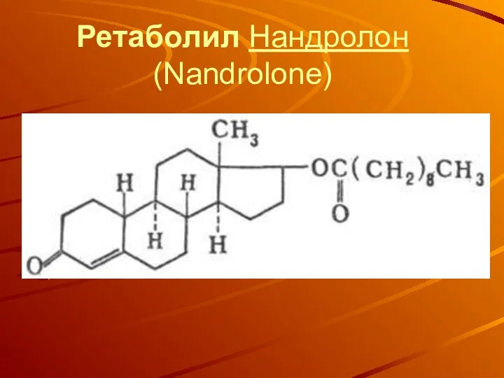 Ретаболил Нандролон (Nandrolone)