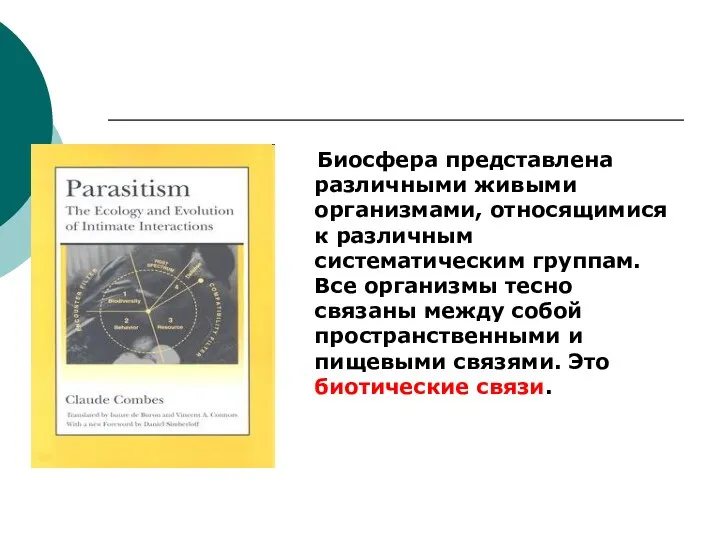 Биосфера представлена различными живыми организмами, относящимися к различным систематическим группам. Все организмы тесно