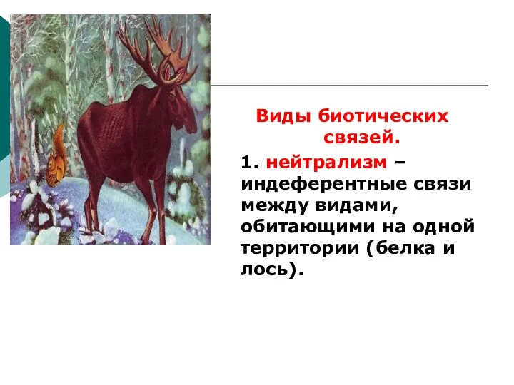 Виды биотических связей. 1. нейтрализм – индеферентные связи между видами, обитающими на одной