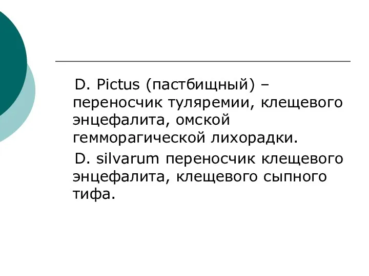 D. Pictus (пастбищный) – переносчик туляремии, клещевого энцефалита, омской гемморагической