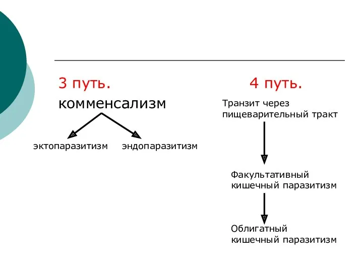 3 путь. 4 путь. комменсализм эктопаразитизм эндопаразитизм Транзит через пищеварительный тракт Факультативный кишечный