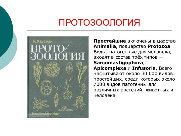 ПРОТОЗООЛОГИЯ Простейшие включены в царство Animalia, подцарство Protozoa. Виды, патогенные для человека, входят