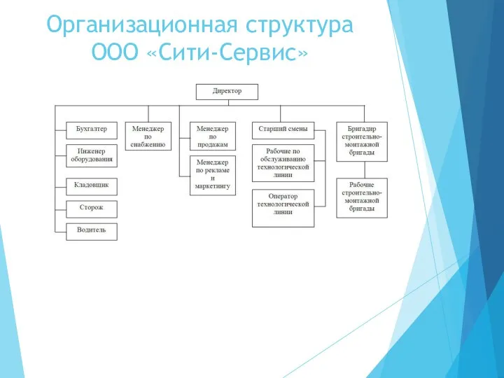 Организационная структура ООО «Сити-Сервис»