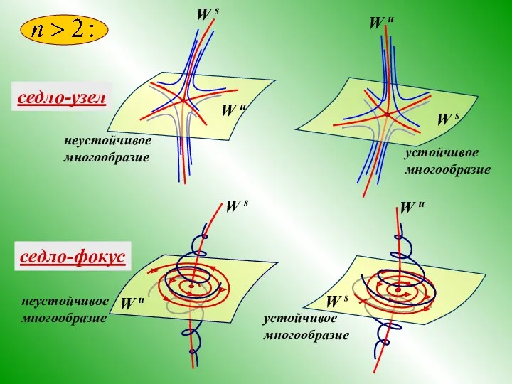 седло-узел неустойчивое многообразие устойчивое многообразие W s W u седло-фокус