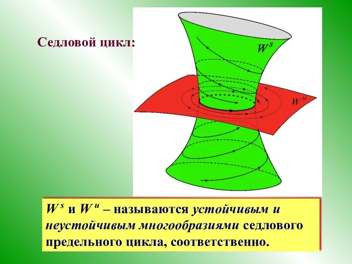 Седловой цикл: W s и W u – называются устойчивым