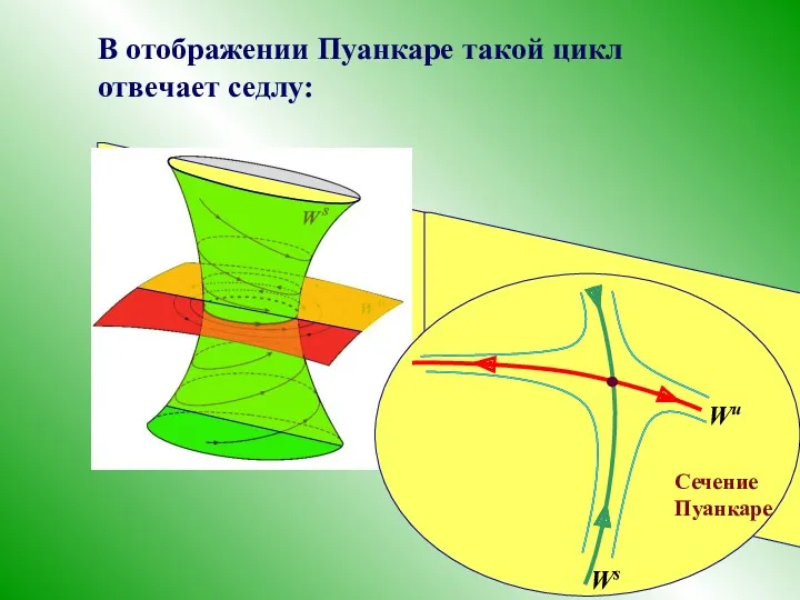 В отображении Пуанкаре такой цикл отвечает седлу: