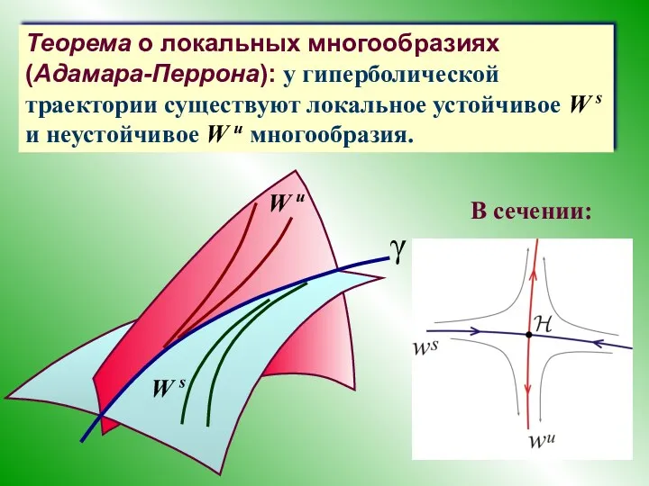 W s W u γ Теорема о локальных многообразиях (Адамара-Перрона):