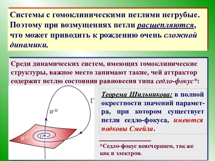 Системы с гомоклиническими петлями негрубые. Поэтому при возмущениях петли расщепляются,