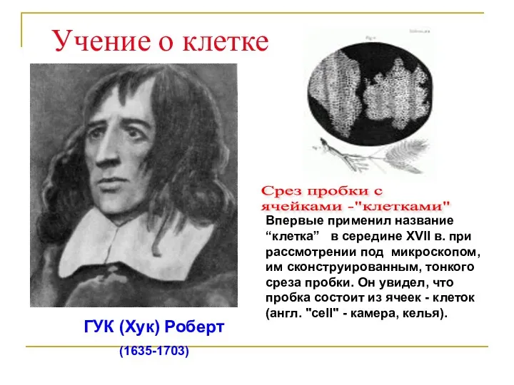 ГУК (Хук) Роберт (1635-1703) Учение о клетке