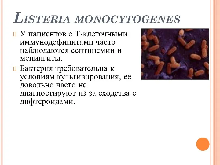 Listeria monocytogenes У пациентов с Т-клеточными иммунодефицитами часто наблюдаются септицемии