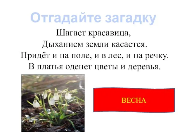 Отгадайте загадку Шагает красавица, Дыханием земли касается. Придёт и на