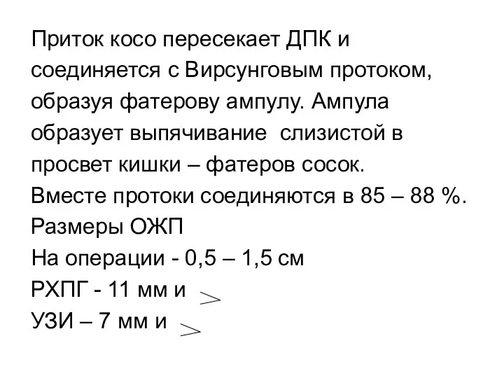 Приток косо пересекает ДПК и соединяется с Вирсунговым протоком, образуя