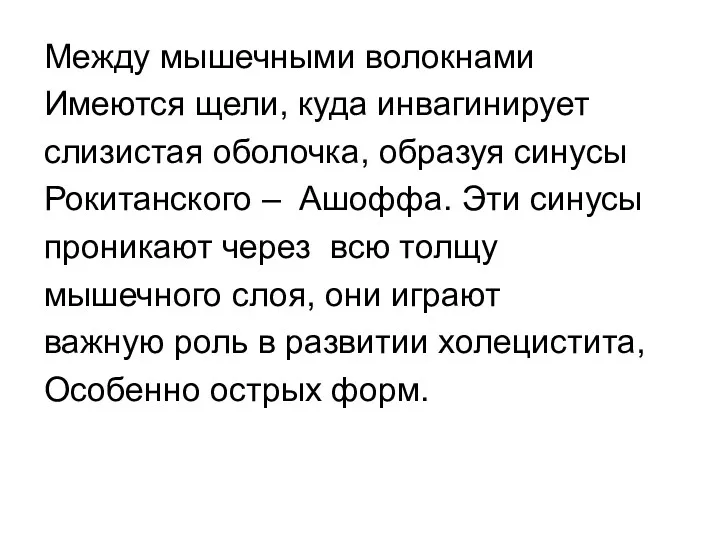 Между мышечными волокнами Имеются щели, куда инвагинирует слизистая оболочка, образуя