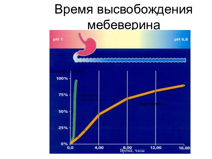 Время высвобождения мебеверина высвобождение Время, часы обычные таблетки микросферы