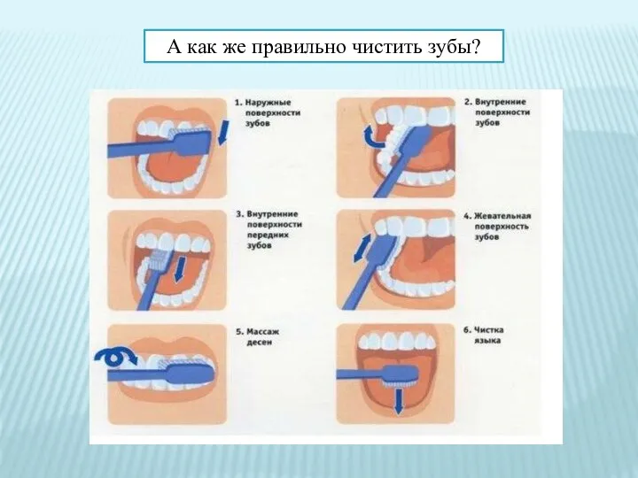 А как же правильно чистить зубы?