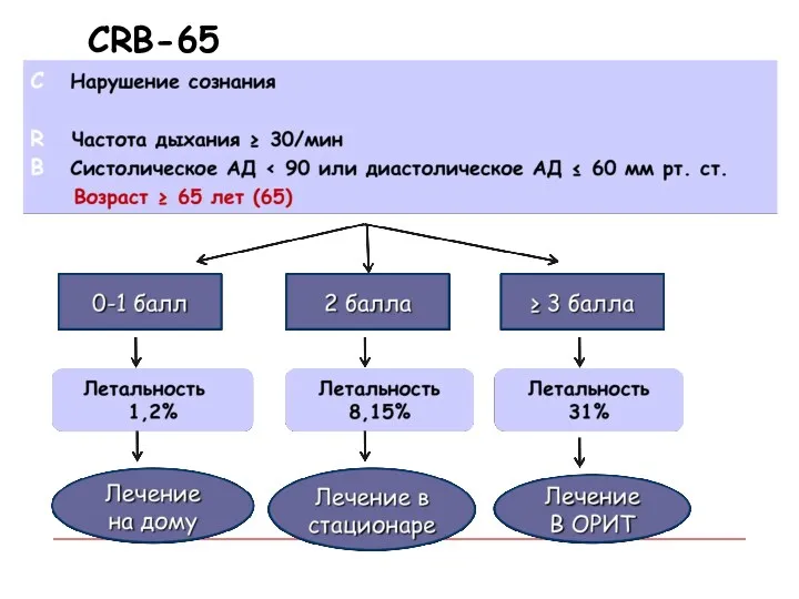 CRB-65