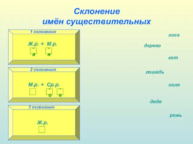 Склонение имён существительных 1 склонение 3 склонение 2 склонение лиса дерево кот лошадь дядя поле рожь