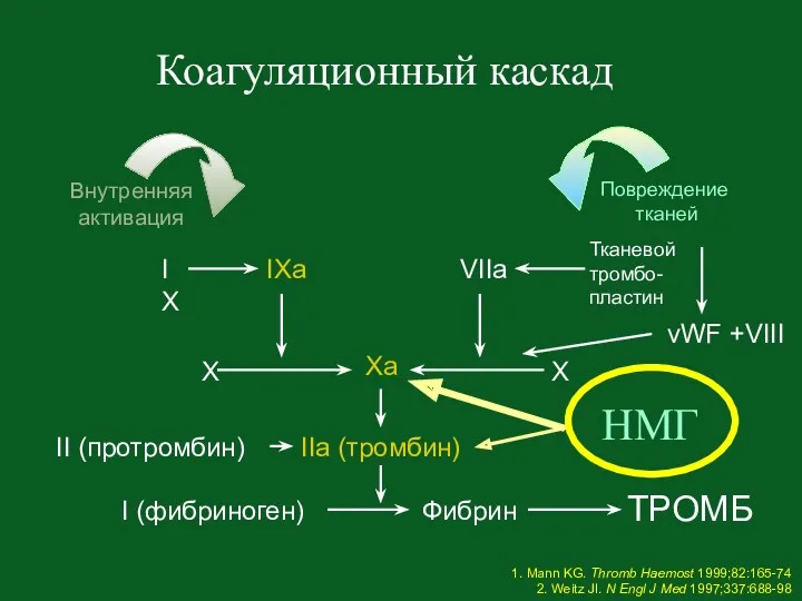 Коагуляционный каскад 1. Mann KG. Thromb Haemost 1999;82:165-74 2. Weitz JI. N Engl