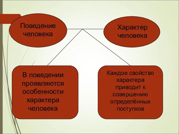 Поведение человека Характер человека В поведении проявляются особенности характера человека