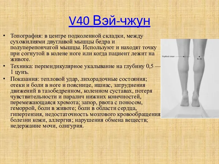V40 Вэй-чжун Топография: в центре подколенной складки, между сухожилиями двуглавой мышцы бедра и