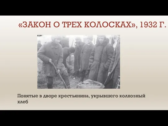 «ЗАКОН О ТРЕХ КОЛОСКАХ», 1932 Г. Понятые в дворе крестьянина, укрывшего колхозный хлеб