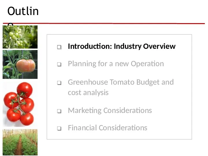 Outline Introduction: Industry Overview Planning for a new Operation Greenhouse