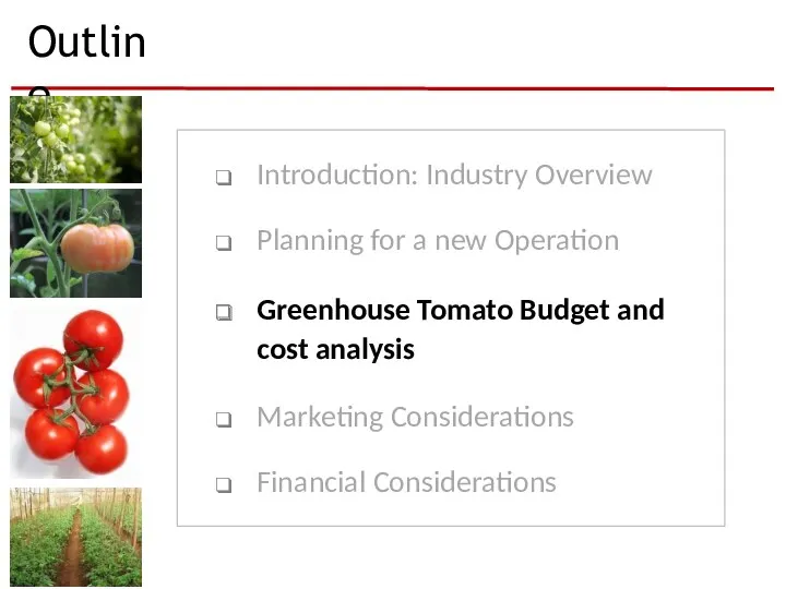 Outline Introduction: Industry Overview Planning for a new Operation Greenhouse