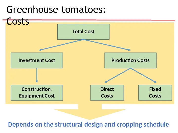 Greenhouse tomatoes: Costs Total Cost Fixed Costs Production Costs Investment