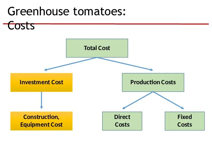 Greenhouse tomatoes: Costs Total Cost Fixed Costs Production Costs Investment Cost Construction, Equipment Cost Direct Costs