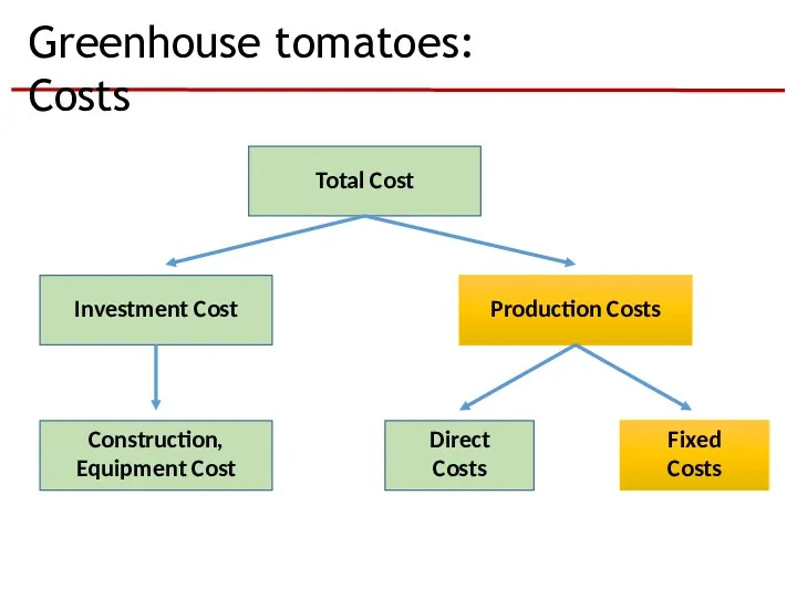 Greenhouse tomatoes: Costs Total Cost Fixed Costs Production Costs Investment Cost Construction, Equipment Cost Direct Costs