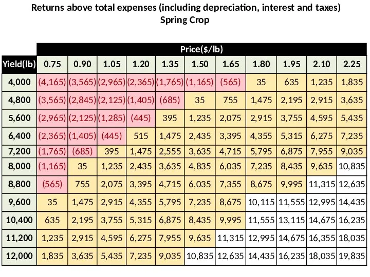 Returns above total expenses (including depreciation, interest and taxes) Spring Crop