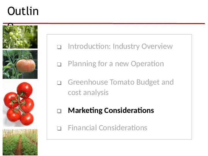 Outline Introduction: Industry Overview Planning for a new Operation Greenhouse