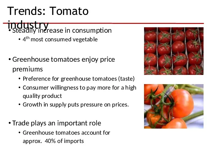 Trends: Tomato industry Steadily increase in consumption 4th most consumed