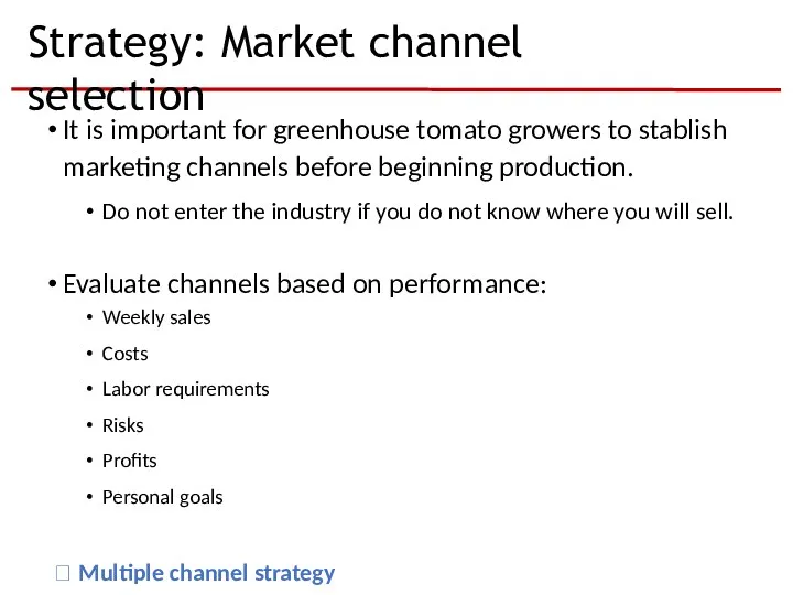 Strategy: Market channel selection It is important for greenhouse tomato
